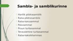 Kakerdaja raba #12