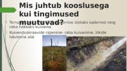 Kakerdaja raba #20