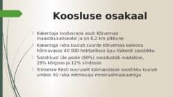 Kakerdaja raba #21