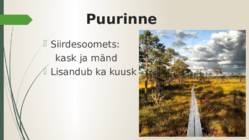 Kakerdaja raba #6