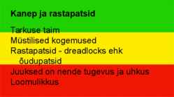 Rastafari usund #12