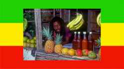 Rastafari usund #16