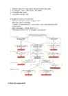 European Union Exam #8
