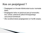 Peajalgsed #2