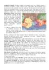 Geograafia eksam 2017 #2