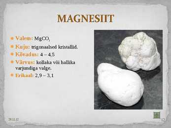 Karbonaadid #12