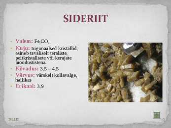 Karbonaadid #13