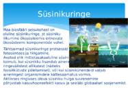 PowerPoint-Süsinik #8