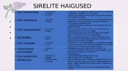 Sirel-Syringa #27