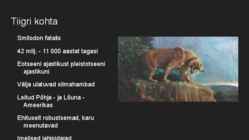 Mõõkhambuline tiiger #2