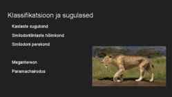Mõõkhambuline tiiger #4