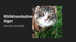 Mõõkhambuline tiiger