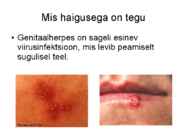 Genitaalherpes #2