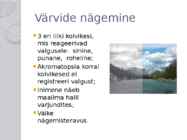 Akromatopsia ehk täielik värvipimedus #3