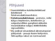 Akromatopsia ehk täielik värvipimedus #6