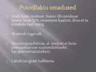 Looduslikud materjalid #10