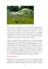 INVASIIVSETE VÕÕRLIIKIDE MÕJU BIOLOOGILISELE MITMEKESISUSELE #7