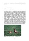 INVASIIVSETE VÕÕRLIIKIDE MÕJU BIOLOOGILISELE MITMEKESISUSELE #9