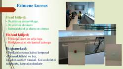 Ohtlike kohtade kaardistamine #7