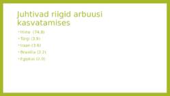 Arbuus #6