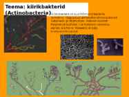Mikrobioloogia I tutvustus-Elu teke Maal 2017 #14