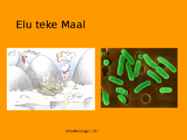Mikrobioloogia I tutvustus-Elu teke Maal 2017 #20