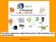 Mikrobioloogia I tutvustus-Elu teke Maal 2017 #25