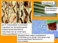 Mikrobioloogia I tutvustus-Elu teke Maal 2017 #32