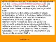 Mikrobioloogia I tutvustus-Elu teke Maal 2017 #41