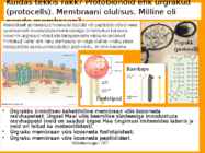 Mikrobioloogia I tutvustus-Elu teke Maal 2017 #62