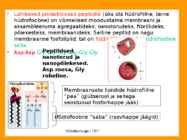 Mikrobioloogia I tutvustus-Elu teke Maal 2017 #68