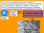 Mikrobioloogia I tutvustus-Elu teke Maal 2017 #71