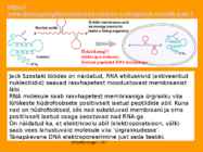 Mikrobioloogia I tutvustus-Elu teke Maal 2017 #72