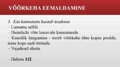 VÕÕRKEHA HINGAMISTEEDES #5