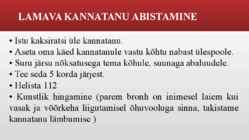 VÕÕRKEHA HINGAMISTEEDES #7
