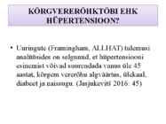 KROONILISE HAIGUSEGA PATSIENT-HÜPERTOONIATÕBI #5