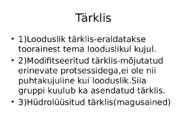 Tärklis #10
