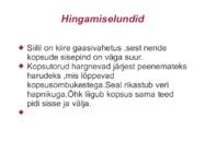 Harilik siil #5
