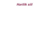 Harilik siil