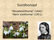 Robert Schumann #7