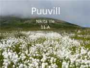 Puuvill