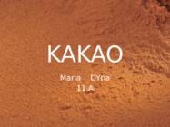 KAKAO