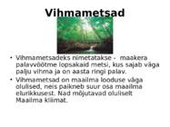 Elu vihmametsades #2