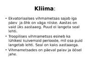 Elu vihmametsades #4
