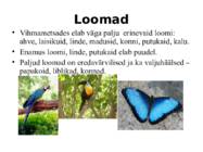 Elu vihmametsades #5