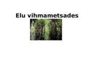 Elu vihmametsades