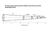 Puutüve mahu määramine #13