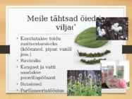 Katteseemnetaimed #24