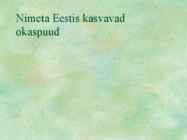 Paljasseemnetaimed #9