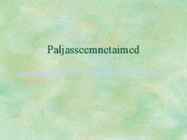 Paljasseemnetaimed